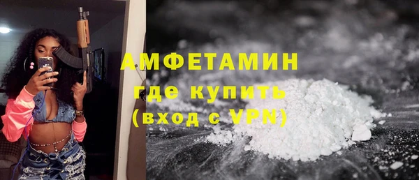 твердый Козельск