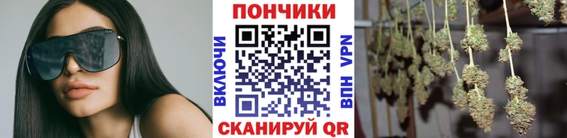 Марихуана план  Купить закладки  Бакал 